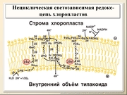 BE12L04F003.jpg