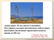 BE2012L12F017pg.jpg